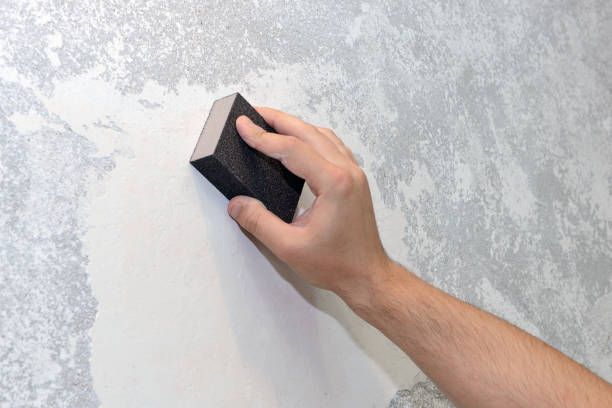 Best Mold Prevention Services  in Ckam Housing, HI