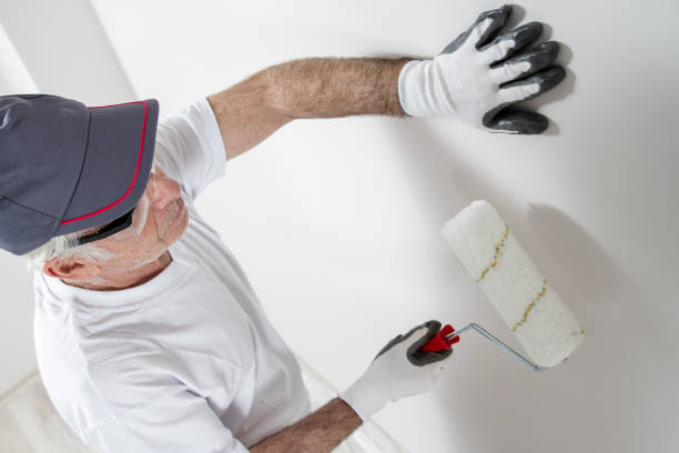 Best Asbestos and Lead Testing During Mold Inspection  in Ckam Housing, HI