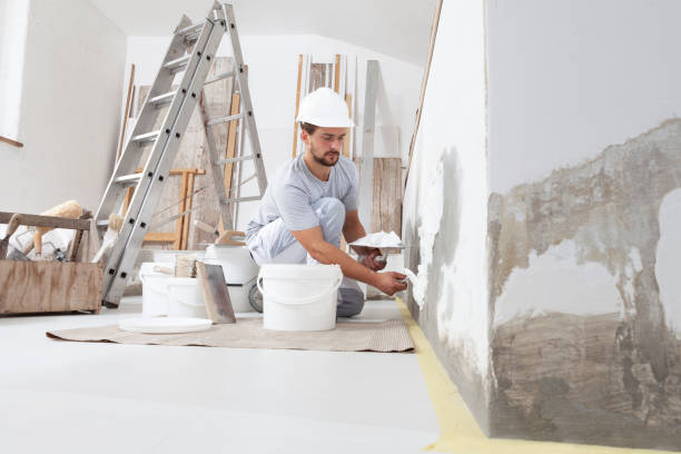 Reliable Hickam Housing, HI Mold Removal Solutions