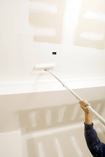 Best Mold Remediation for Healthcare Facilities  in Ckam Housing, HI