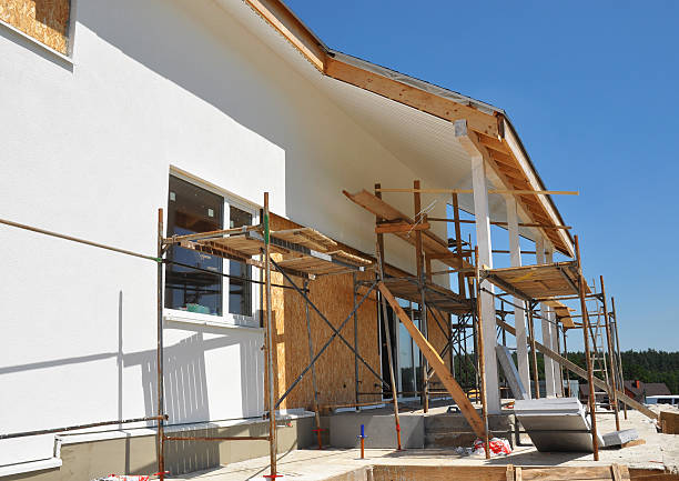 Best Attic Mold Removal  in Ckam Housing, HI