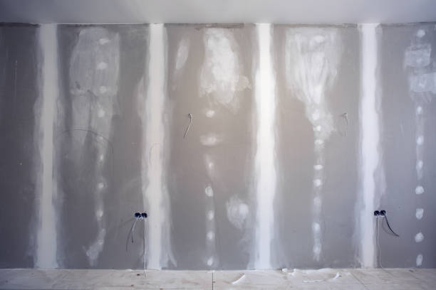 Best Water Damage & Mold Remediation  in Ckam Housing, HI